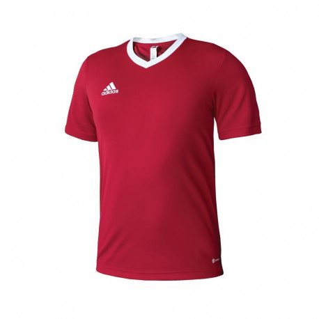 Adidas Entrada 22 M T-shirt H61736 (XXL (193cm))