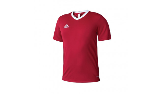 Adidas Entrada 22 M T-shirt H61736 (M (178cm))