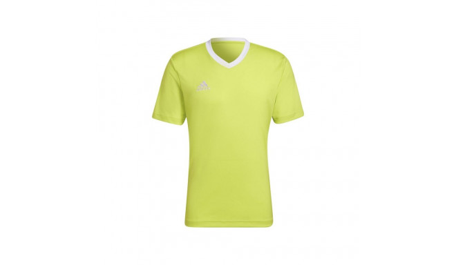Adidas Entrada 22 M T-shirt HC5077 (M (178cm))