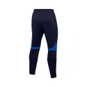 Nike DF Academy Pant KPZ M DH9240 451 pants (S)