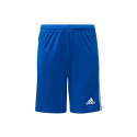 Adidas Squadra 21 Jr GK9156 shorts (152 cm)