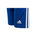 Adidas Squadra 21 Jr GK9156 shorts (164 cm)