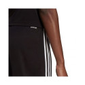 Adidas Squadra 21 Short W GN5780 (XS)