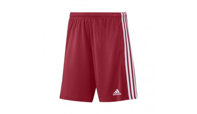 Adidas Squadra 21 Short M GN5771 (XL)