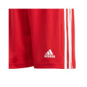 Adidas Squadra 21 Short Youth Jr GN5761 (164cm)