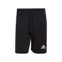 Adidas Tiro 21 Training M GN2157 shorts (S)