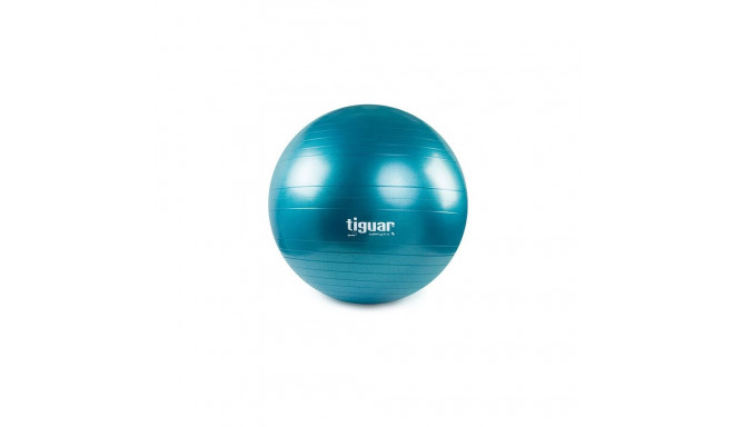 Gymnastic ball tiguar safety plus TI-SP0075M