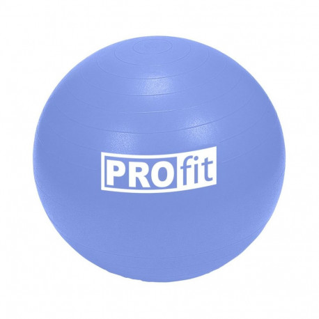 Profit 65cm Gymnastics Ball with Pump DK 2102