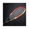 Techman speedminton set