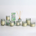 Reed diffuser NATURE GREEN 100ml, Evergreen