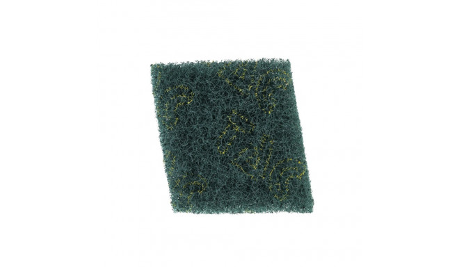 Abrasiivne käsn kunstpuidu hooldamiseks, 10x9x1,5cm, roheline