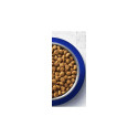 CAT FOOD ONE ADULT (WITH TURKEY) 800G