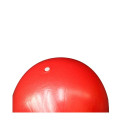 MINI GYM BALL PVC LS3225 25CM