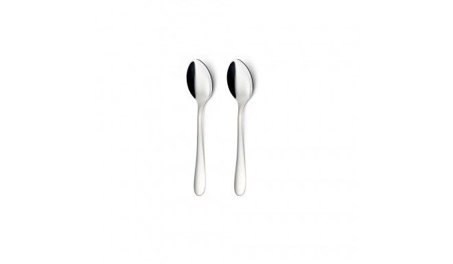 HANGER 2 PCS TABLE SPOON SEGNO