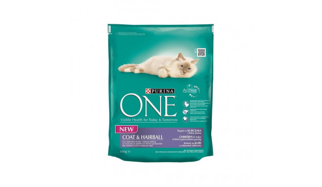 CAT FOOD ONE ADULT 800G