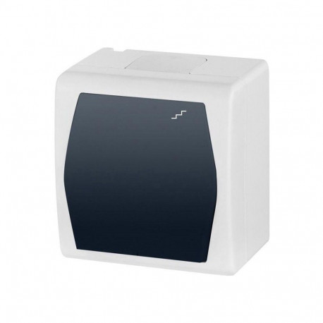 TWO WAY SW.HERMES2 valge/hall IP44 1003-01