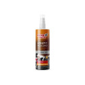 PANEL CLEANER 19-569 VANILA AER MAT 0.3L