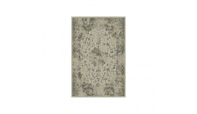 CARPET R PALACE 14748/5353