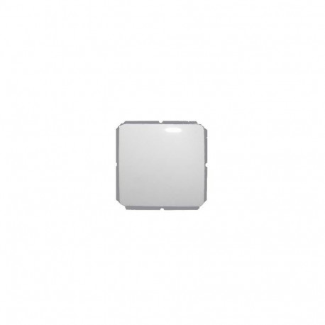 SWITCH WITH FRAME, WITHOUT FRAME