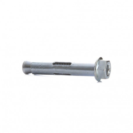 ANKURPOLT MUTRIGA B 10X60 MM 5 TK.