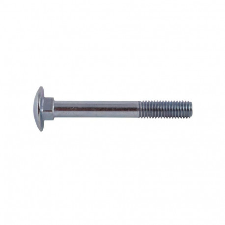 BOLT (DIN603 M6X70 ZN) 10 tk