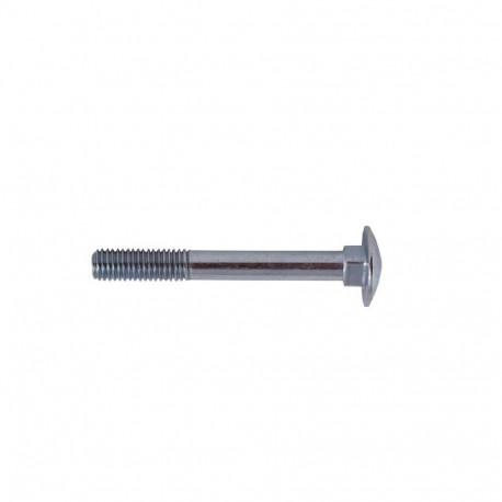 BOLT (DIN603 M6X100 ZN) 8PCS