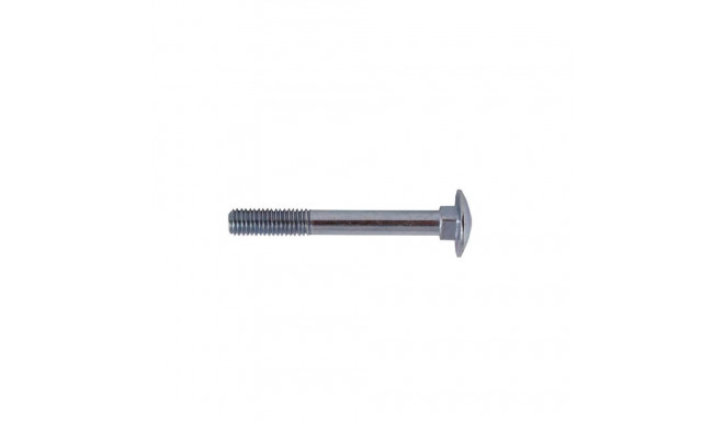 BOLT (DIN603 M6X100 ZN) 8 tk