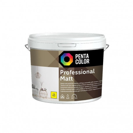 DISPERSION PAINT PROFESSIONAL MAT (CL
