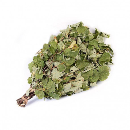 Linden saunaviht flammifera