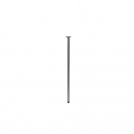 30X800 matt NI FT-511