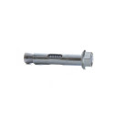 ANCHOR BOLT WITH NUT 12X60 MM 5 PCS.