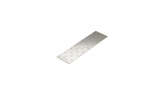 PLATE PROF 60X300X2 411169