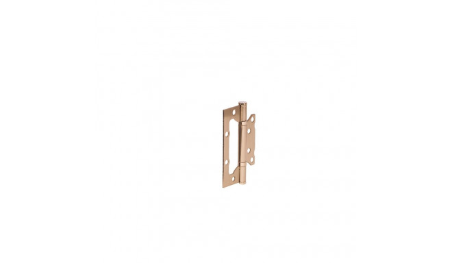 HINGE DOOR 100X63X2MM AGED BRASS