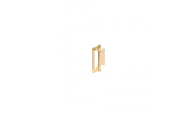 HINGE DOOR 100X75X2.5MM BRASS PLATED