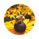LIDS FOR JARS 82MM HONEY MIX PACKED 10PC