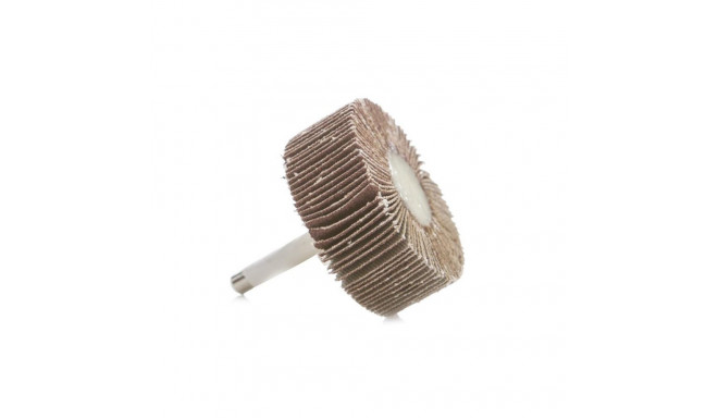 ABRASIIVNE LAMELLRATAS 40X15X6 NR100