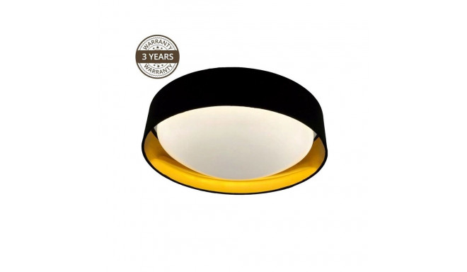 CEILING LAMP LARGE 19131L 24W D42 LED