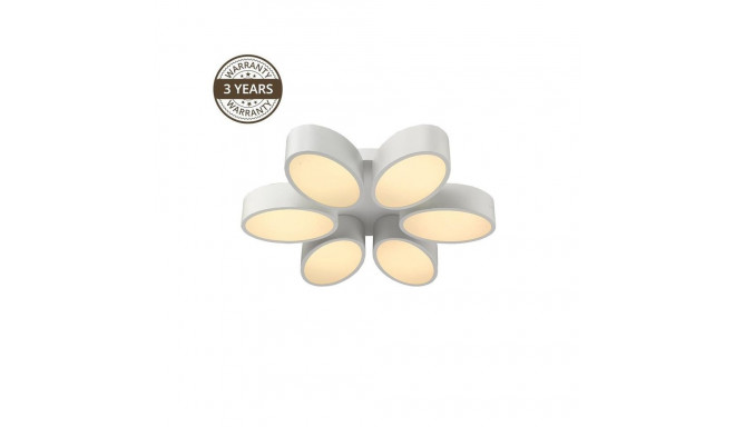 CEILING LAMP ALMOND B1907-6S 6X8W LED