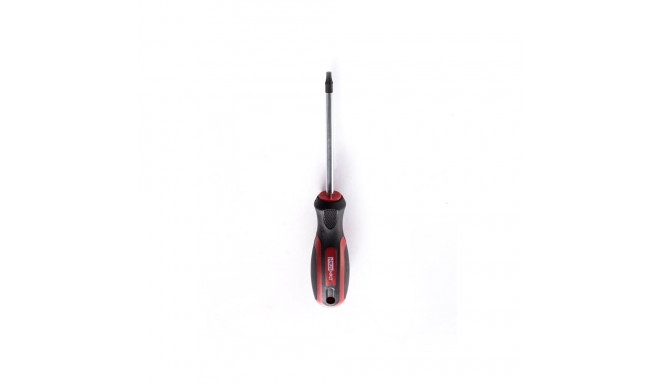 SCREWDRIVER TORX