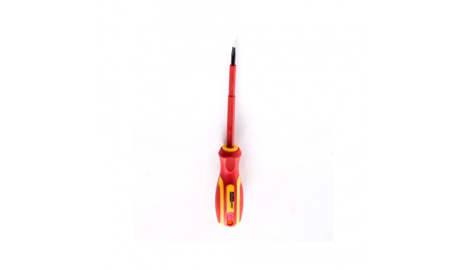 PLANE SCREWDRIVER YF-20601 4X100 MM