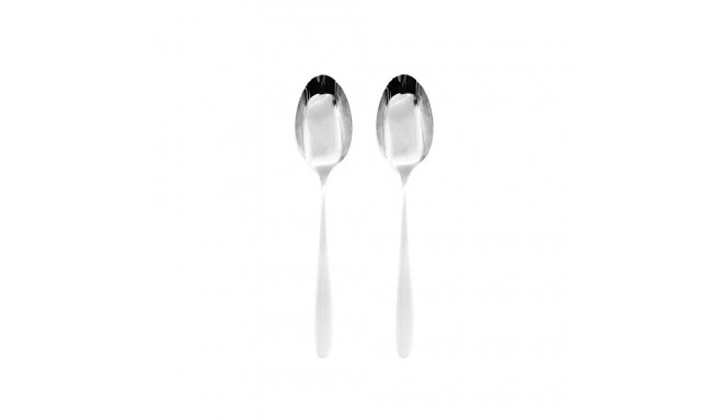 DINNER SPOON 2PCS