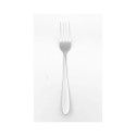 2PCS DINNER FORK SET