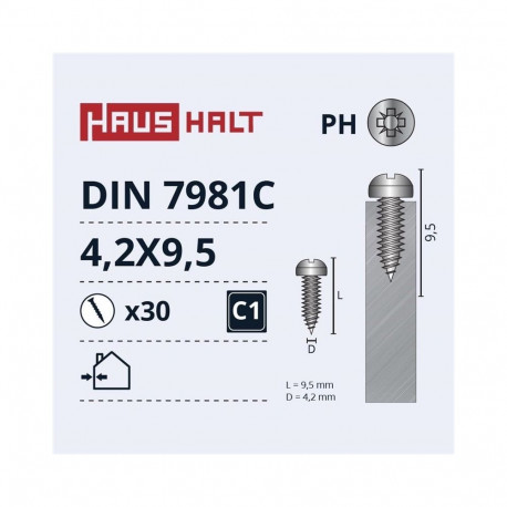 SELF SCREWS 4.2X9.5 DIN7981C ZN 30PCS