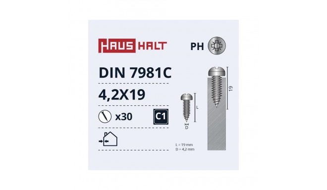 SELF SCREWS 4.2X19 DIN7981C ZN 30PCS
