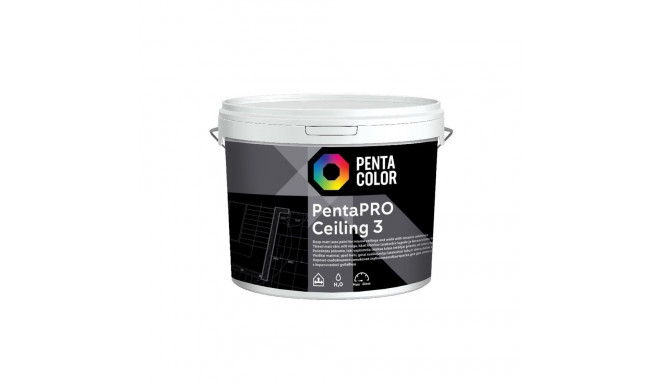 PAINT PENTACOLOR PENTAPRO CEILING BALT5L