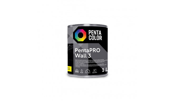 PAINT PENTACOLOR PENTAPRO MATT CLR 1L