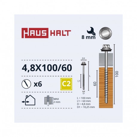 SELF SCR 4,8X100/60 puidukruvi ZN 6 tk