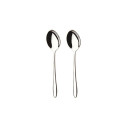 339397 ELAINE -2PCS TABLE SPOON