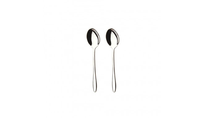 339397 ELAINE -2PCS TABLE SPOON