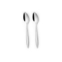 211398 ARDIS - 2PCS TEA SPOON 211398 ARDIS - 2PCS TEA SPOON